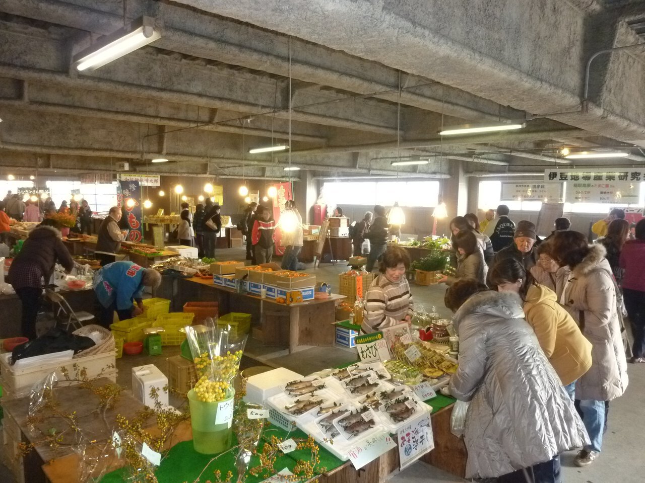 🐟 이나토리항 아침 시장(이나토리코노아사이치) 이미지 6